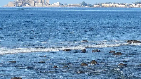 El Pajar, foto del sitio
