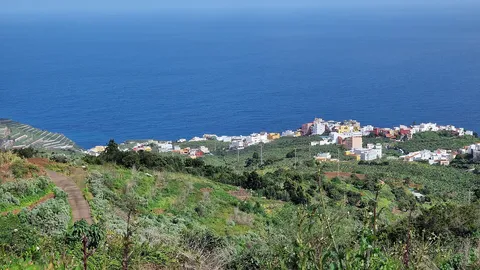 Los Sauces, foto del sitio