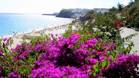 Playa de Jandía, foto del sitio