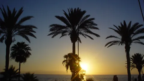 Playa de las Américas, foto del sitio