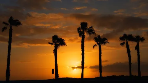 Tráfico en Las Palmas de Gran Canaria, foto del sitio