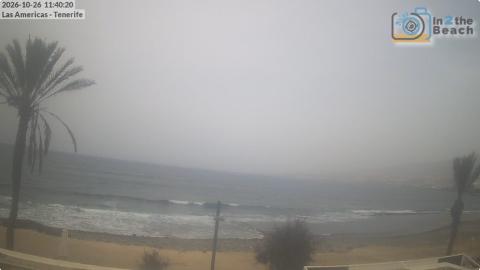 Playa de las Américas: cámara «La orilla»