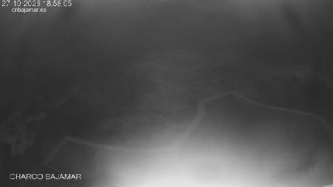 Bajamar: imagen reciente de la webcam