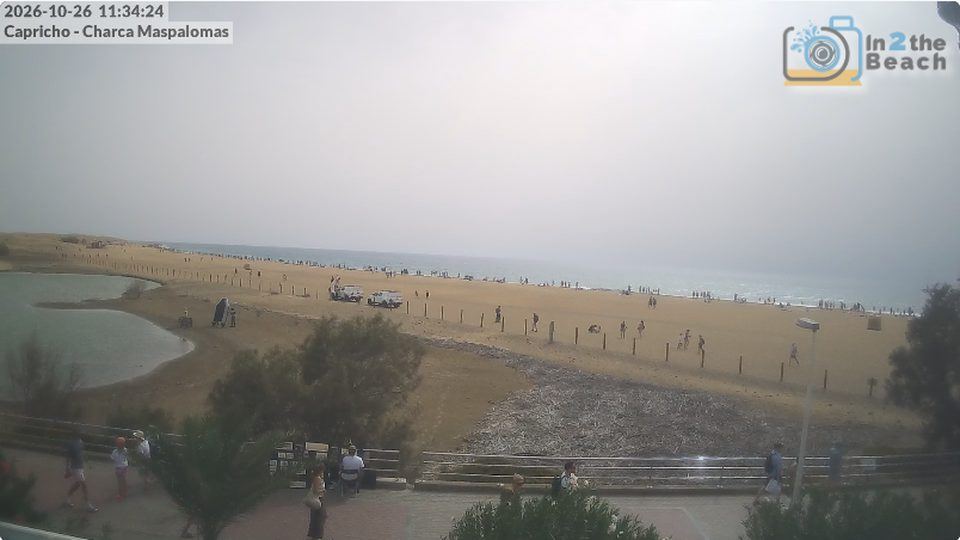 Maspalomas: cámara «La Charca»