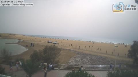 Maspalomas: cámara «La Charca»