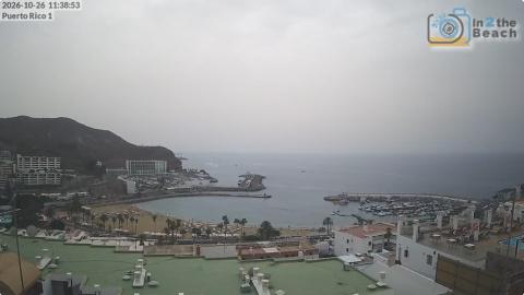 Puerto Rico de Gran Canaria: cámara «La playa y el puerto»