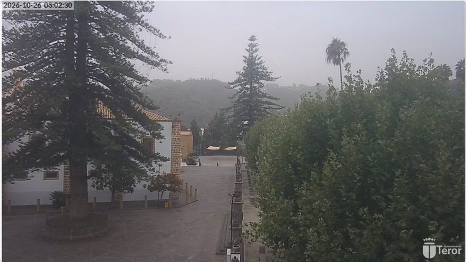 Teror: cámara «Plaza Alameda Pío XII»